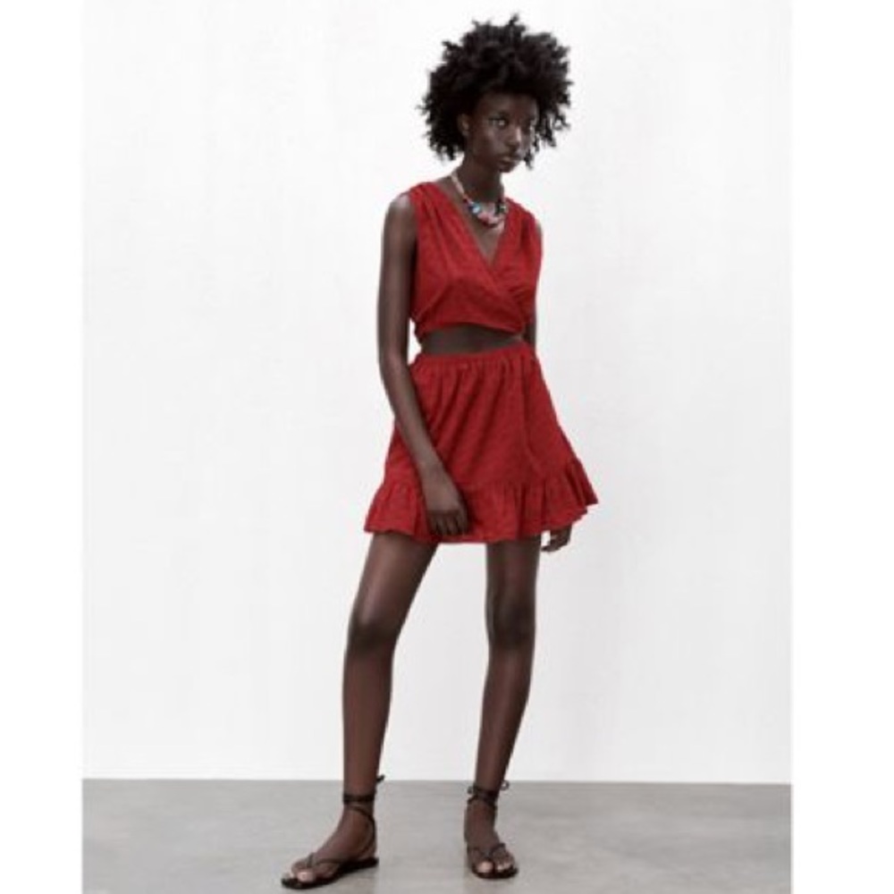 Zara Openwork Embroidered Mini Dress - Picture 2 of 6